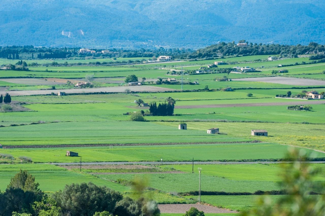 Villa Santa Margalida Eksteriør bilde