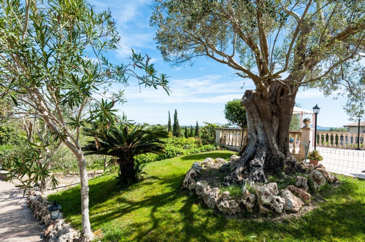 Villa Santa Margalida Eksteriør bilde