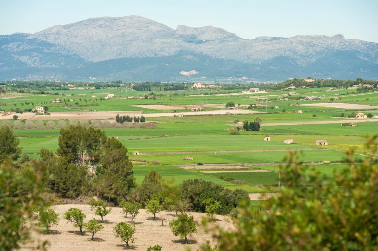 Villa Santa Margalida Eksteriør bilde